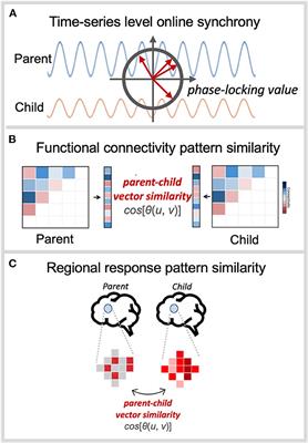Parent-child neural similarity: Measurements, antecedents, and consequences